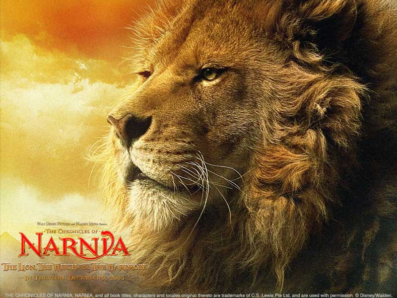 08-narnia-wallpaper-800x600-lion.jpg
