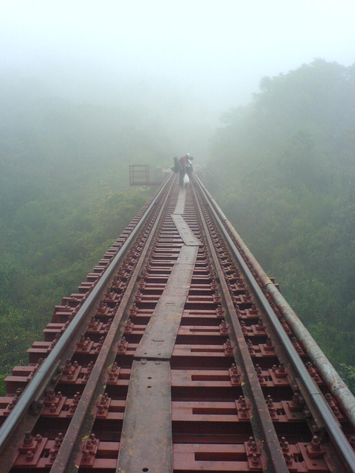 Sakleshpur Yedakumeri Trek - Travelogue On Rails - New Sense